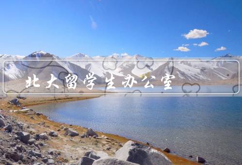 北大留学生办公室（留学生服务／文化交流／学术支持）