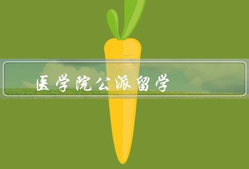 协和医学院公派留学，意义／计划内容／条件