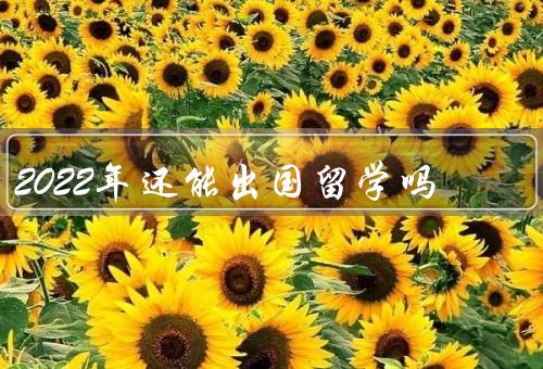 2022年还能出国留学吗（疫情形势／国际政策／个人准备）