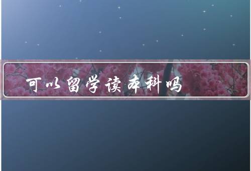 专科可以留学读本科吗，背景／可行性／优势与劣势