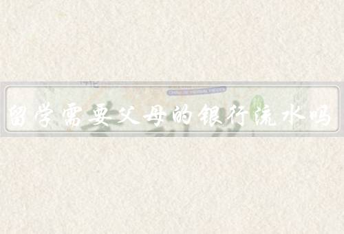 出国留学需要父母的银行流水吗（是否需要提供父母的银行流水）