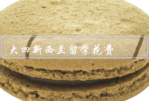 大四新西兰留学花费（生活费用、学费、奖学金）