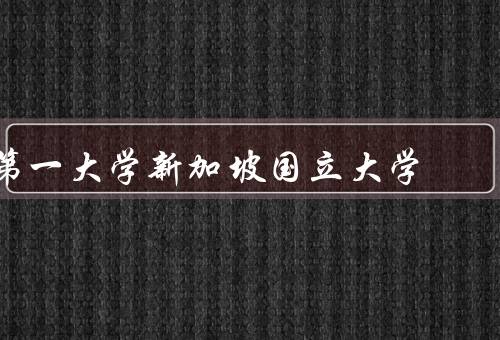 亚洲第一大学新加坡国立大学（历史背景、学术实力、国际影响力）