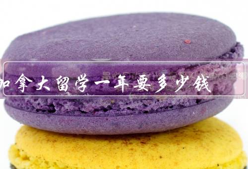 加拿大留学一年要多少钱，生活费／学费／其他费用