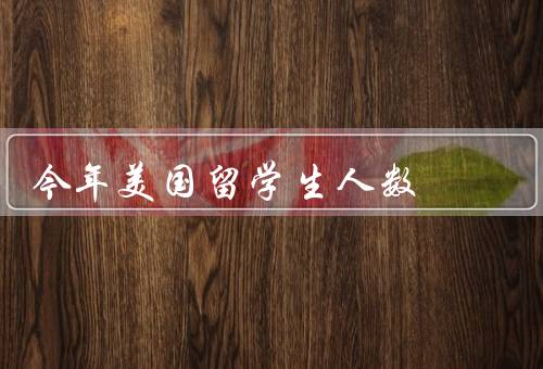 今年美国留学生人数，留学生人数创纪录、中国留学生仍是最大群体