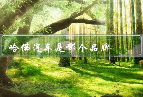 哈佛汽车是哪个品牌，发展历程／产品特点／市场表现