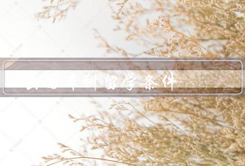 出国本科留学条件