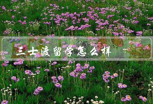 三士渡留学怎么样（专业的留学咨询服务／个性化的申请服务）