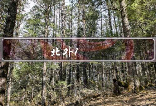 北外1+1研究生留学项目，背景／内容／优势