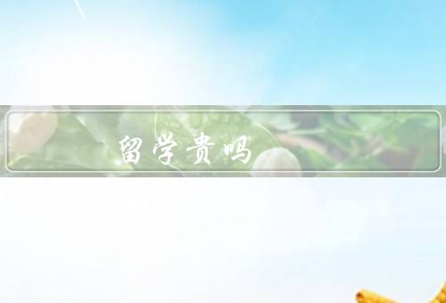 俄罗斯留学贵吗，留学费用／奖学金机会／生活成本