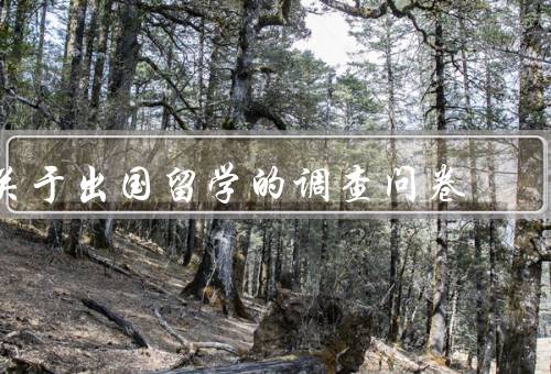 关于出国留学的调查问卷（意愿程度／原因／考虑因素）