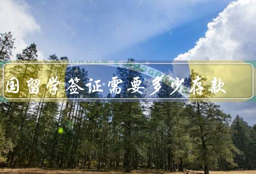 法国留学签证需要多少存款，学生签证所需的存款金额