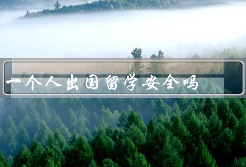 一个人出国留学安全吗，留学前的准备／安全问题的预防措施