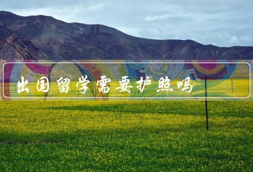 出国留学需要护照吗，作用／办理／重要性