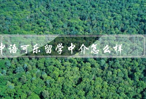 中语可乐留学中介怎么样，专业团队、全方位服务、卓越口碑