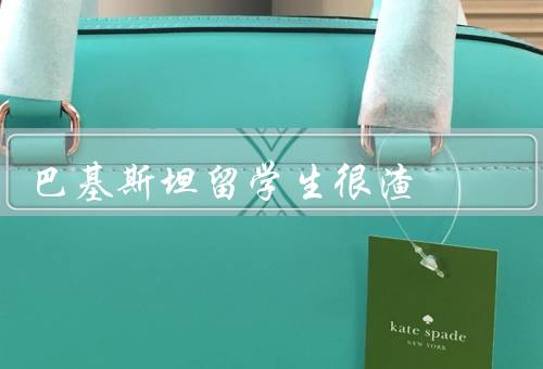 巴基斯坦留学生很渣（学术表现／交流能力／适应能力）