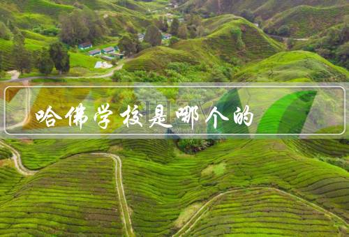 哈佛学校是哪个国家的，历史／地位／影响力