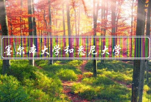 墨尔本大学和悉尼大学（学术实力／研究成果／国际声誉）