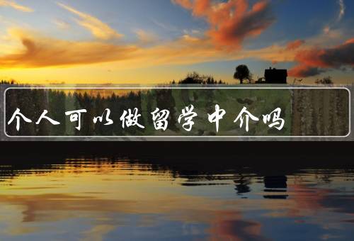 个人可以做留学中介吗（个人资质、专业知识和技能、责任和风险）