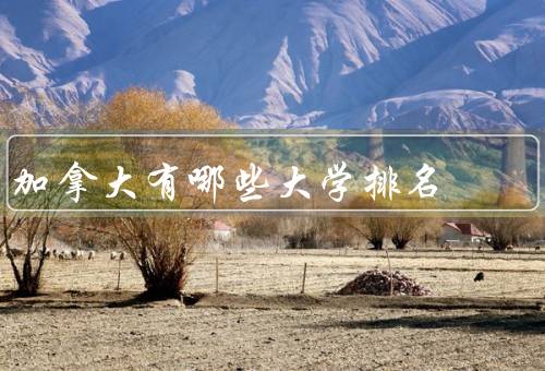 加拿大有哪些大学排名（多伦多大学、渥太华大学、滑铁卢大学）