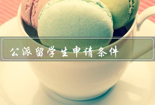 国家公派留学生申请条件（学历要求、语言要求、综合素质及成绩要求）