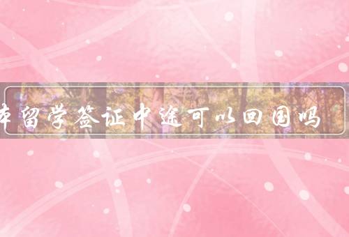 日本留学签证中途可以回国吗，签证类型、学生签证回国问题