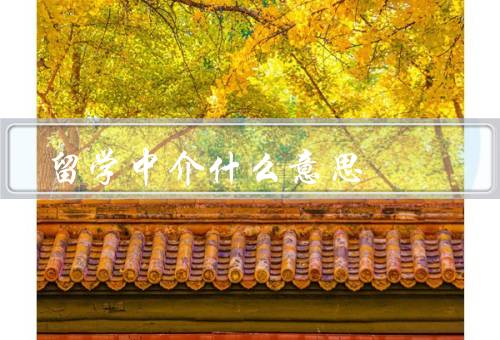 留学中介什么意思，留学咨询、申请材料准备、签证办理