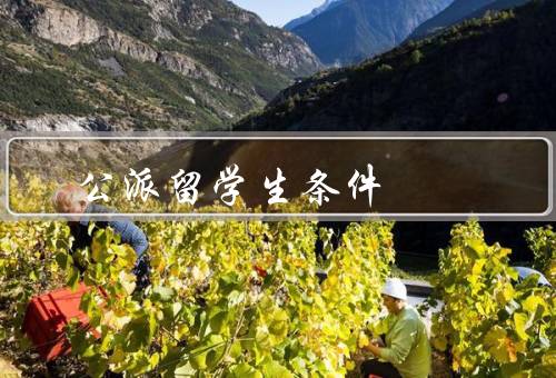 公派留学生条件（学业成绩／英语水平／品德表现）