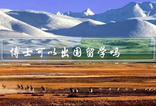 博士可以出国留学吗（博士生的能力和目标／研究方向和资源）