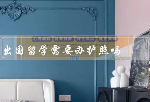 出国留学需要办护照吗，重要性、办理步骤、保管和使用
