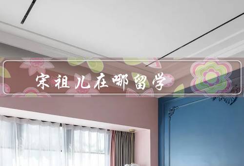 宋祖儿在哪留学，留学经历、国际交流、未来发展