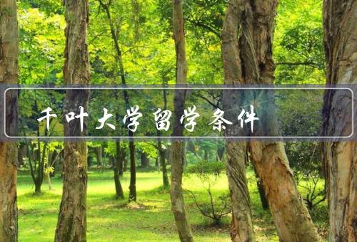 千叶大学留学条件，卓越的学术背景／丰富多样的留学项目