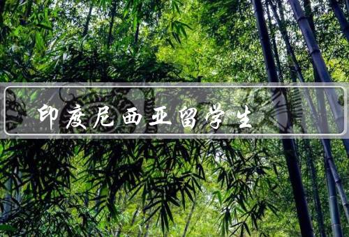 印度尼西亚留学生，教育体系／文化魅力／留学环境