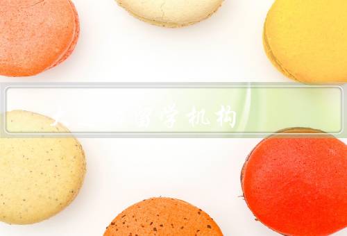 大连的留学机构（兴辉留学／海外之家留学／翼龙留学）
