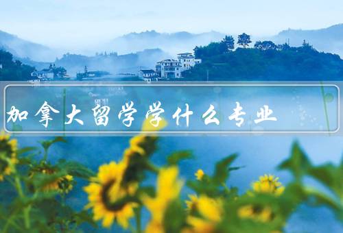 加拿大留学学什么专业（医学与生命科学／工程技术／商科与金融）