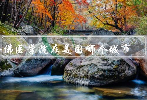 哈佛医学院在美国哪个城市，历史、教学、研究