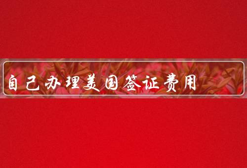 自己办理美国签证费用，美国签证申请费、预约费、其他费用