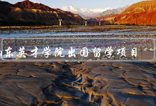 山东英才学院出国留学项目，背景、特色、成果