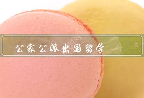 公家公派出国留学，意义／条件／申请流程
