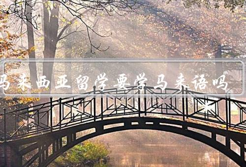 去马来西亚留学要学马来语吗，准备、学习机会、经验