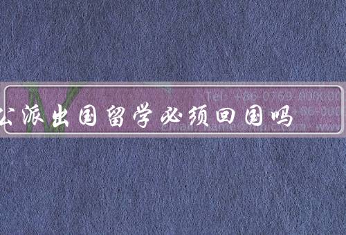公派出国留学必须回国吗，公派出国留学的目的／回国的重要性