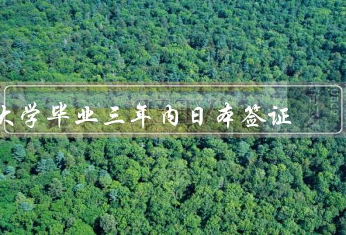 大学毕业三年内日本签证（就业签证、继续深造、留学生支持）