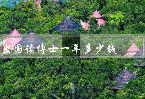 出国读博士一年多少钱，学费、生活费、其他费用