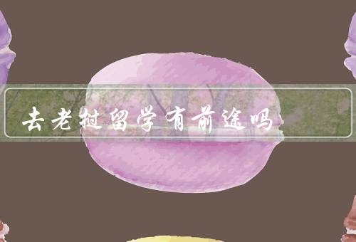 去老挝留学有前途吗