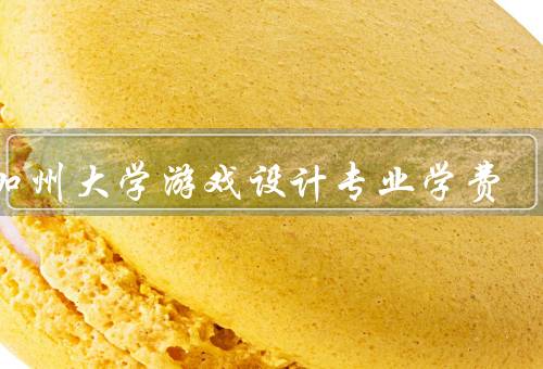 南加州大学游戏设计专业学费，学费情况／奖学金和助学金／就业前景