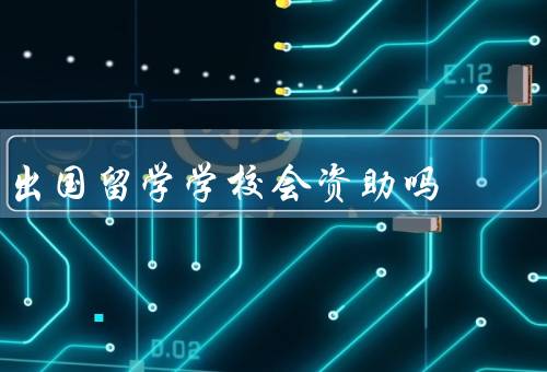 出国留学学校会资助吗，学术奖学金／助学贷款／校内工作