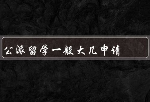 公派留学一般大几申请，申请材料准备、选择留学目标