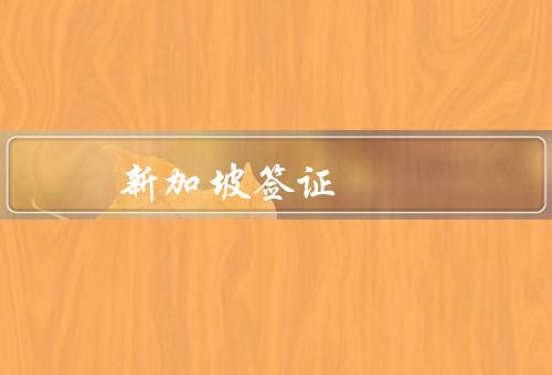 新加坡签证照片，新加坡签证照片的要求
