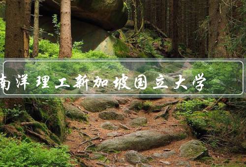 南洋理工新加坡国立大学，学术实力／研究成果／国际交流