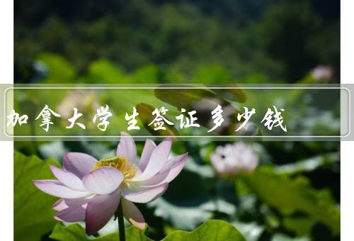 加拿大学生签证多少钱（申请费、生物识别费、学习许可费）